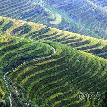 龙脊梯田阿蒙家酒店提供图片