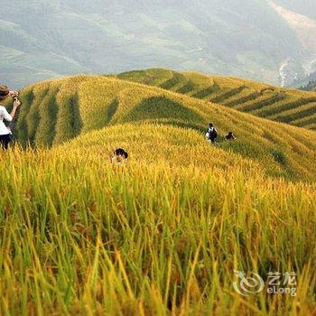 龙脊梯田阿蒙家酒店提供图片