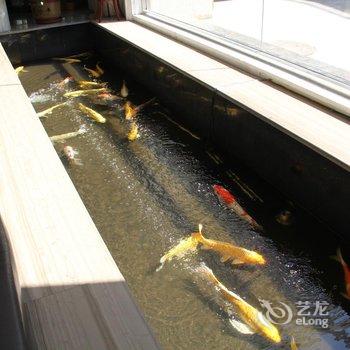 天津海洲国际酒店酒店提供图片