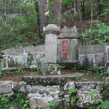 黄山狮林大酒店(风景区店)酒店提供图片