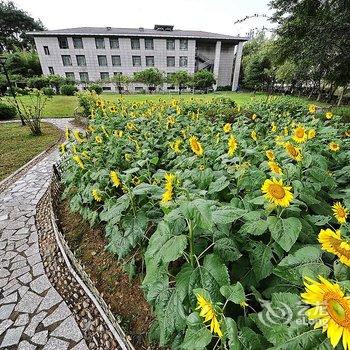 黄山徽州皖韵悦读主题酒店酒店提供图片