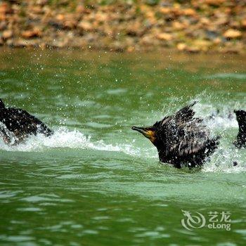 崇阳三特浪口温泉精品酒店酒店提供图片