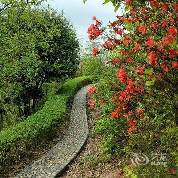 武夷山青竹山庄酒店提供图片