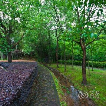 武夷山青竹山庄酒店提供图片