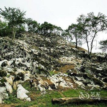 绵阳北川辛夷花大酒店酒店提供图片