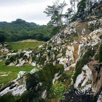 绵阳北川辛夷花大酒店酒店提供图片