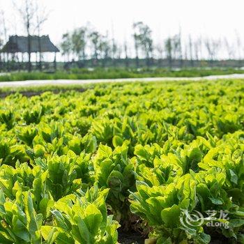 昆山阳澄湖费尔蒙酒店酒店提供图片