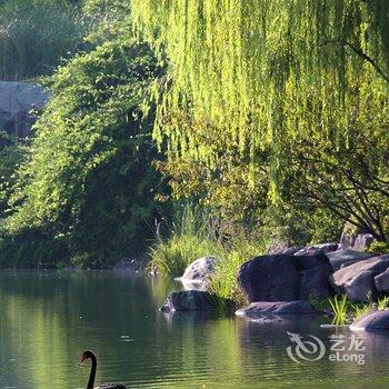 苏州金鸡湖大酒店酒店提供图片