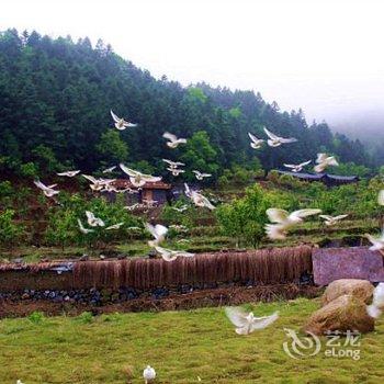 上饶三清山田园牧歌度假村酒店提供图片