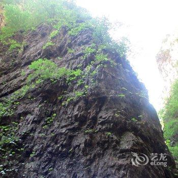 野三坡绿色农庄酒店提供图片