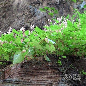 野三坡绿色农庄酒店提供图片