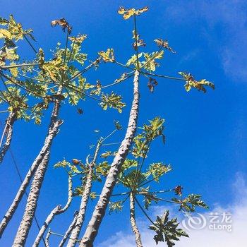 北海印象涠洲岛生态度假村酒店提供图片