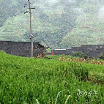 桂林龙胜卓悦山庄酒店提供图片