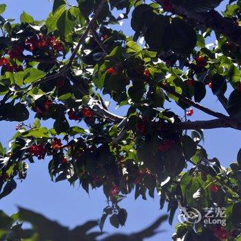 丽江明天在丽江一起醒来青年旅社酒店提供图片