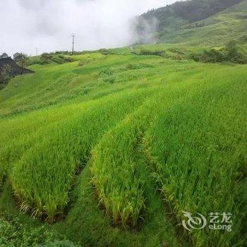 龙胜龙脊山景楼酒店提供图片