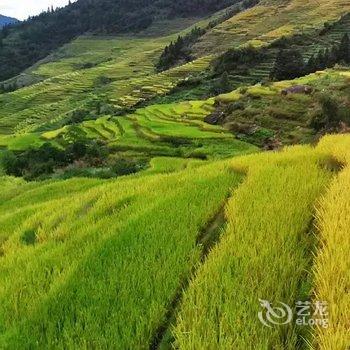 龙胜龙脊山景楼酒店提供图片