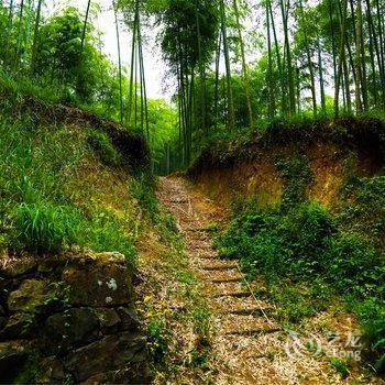 莫干山水墨山居游多多客栈酒店提供图片