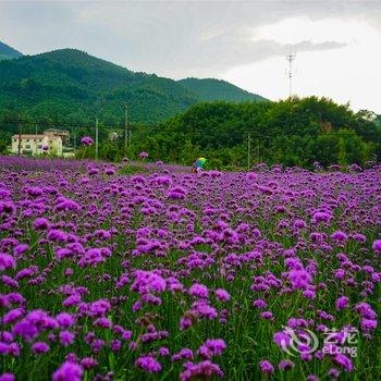 莫干山水墨山居游多多客栈酒店提供图片