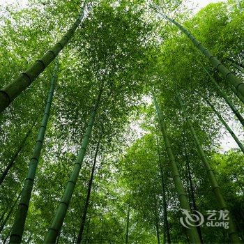 莫干山水墨山居游多多客栈酒店提供图片