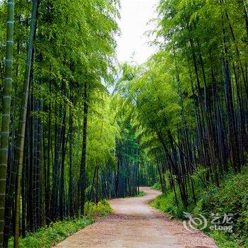 莫干山水墨山居游多多客栈酒店提供图片