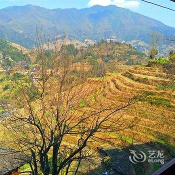 龙胜田园客栈酒店提供图片