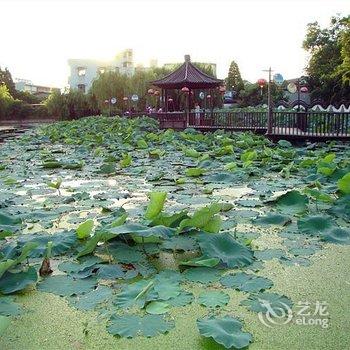 西塘忆江南客栈酒店提供图片