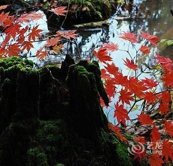 长白山长白天地度假酒店酒店提供图片