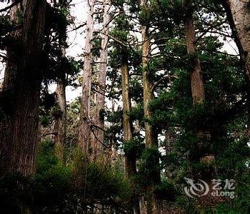 临安天目大峡谷怡情小苑酒店提供图片