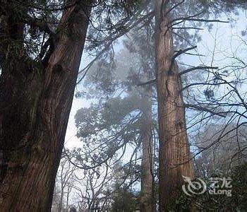 临安天目大峡谷怡情小苑酒店提供图片