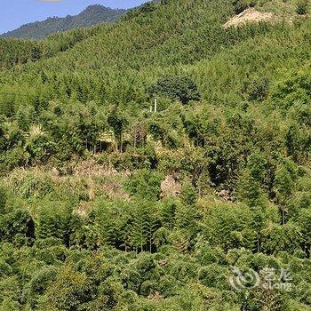 临安天目大峡谷怡情小苑酒店提供图片