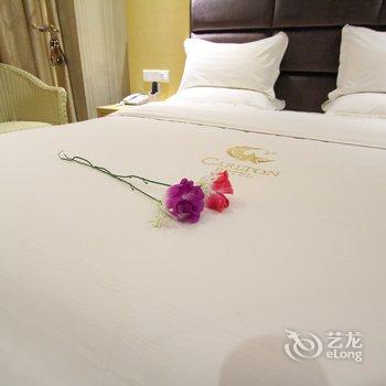 卡尔顿酒店（佛山美食广场总店）酒店提供图片