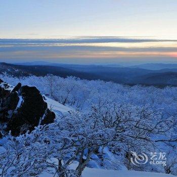 雪乡柳敦喜家庭旅馆酒店提供图片