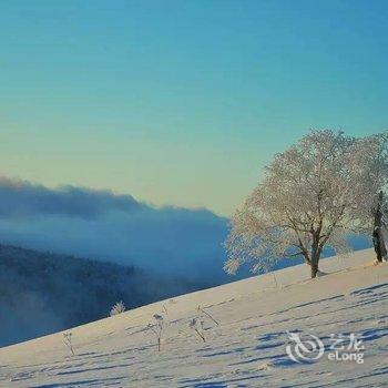 雪乡柳敦喜家庭旅馆酒店提供图片