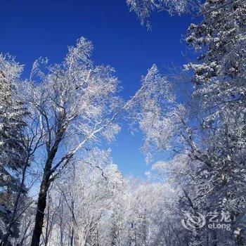 雪乡柳敦喜家庭旅馆酒店提供图片