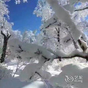 雪乡二浪河杨成家庭旅馆酒店提供图片