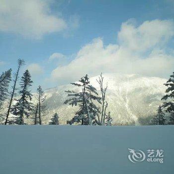 雪乡二浪河蒋衍青家庭旅馆酒店提供图片