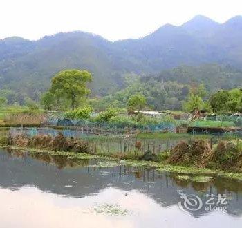 楠溪江君兰·别院民宿(原楠溪江别院民宿)酒店提供图片