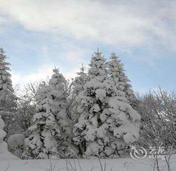 海林雪乡关东客栈酒店提供图片