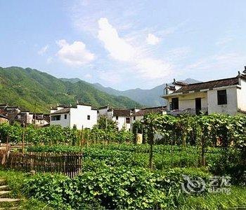 婺源溪边客馆酒店提供图片