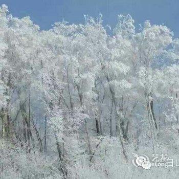 海林雪乡关东客栈酒店提供图片