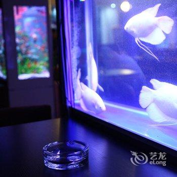 玉溪鹏程酒店酒店提供图片