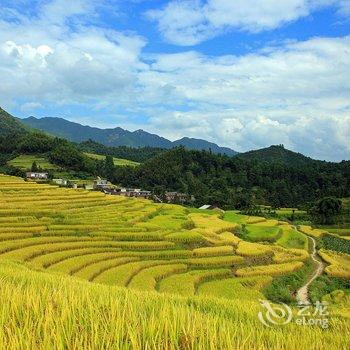 连山雾上花开客栈酒店提供图片