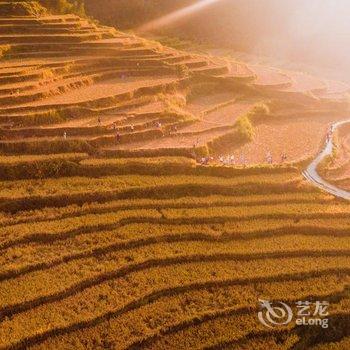 连山雾上花开客栈酒店提供图片