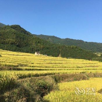 连山雾上花开客栈酒店提供图片