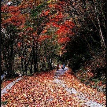 青川乡味园农家乐酒店提供图片