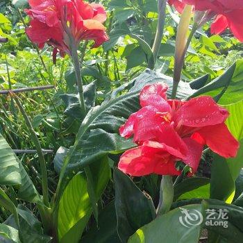 ��������ɽˮͥԺ�Ƶ��ṩͼƬ