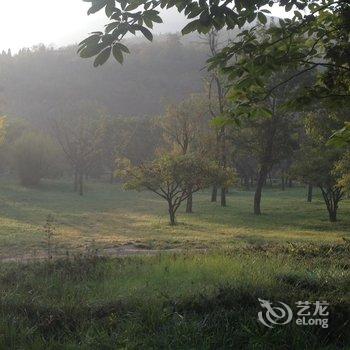 登封少林天然居酒店酒店提供图片