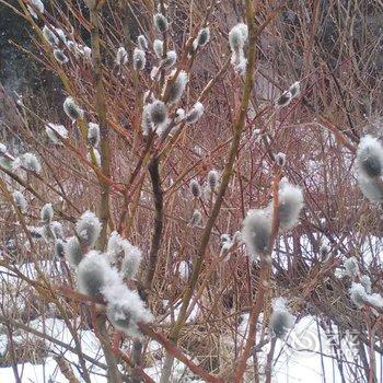 海林雪乡海英家庭旅馆酒店提供图片