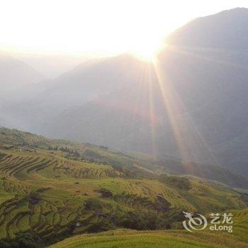 龙胜龙脊古树农家酒店提供图片