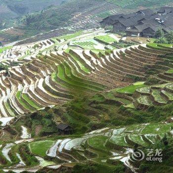 龙胜龙脊古树农家酒店提供图片